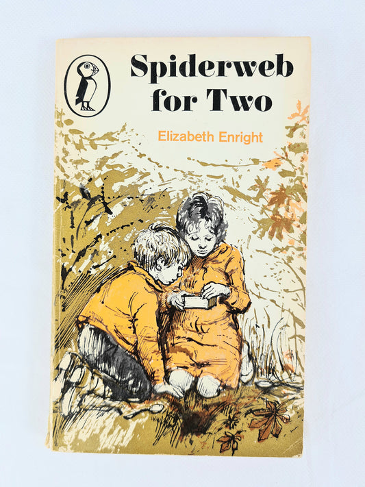 Spiderweb For Two, vintage childrens book 