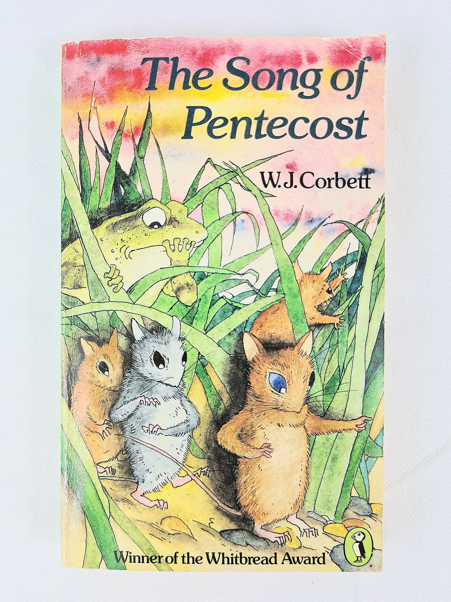 Vintage Puffin Book. The Song Of Pentecost. Lovely cover illustration