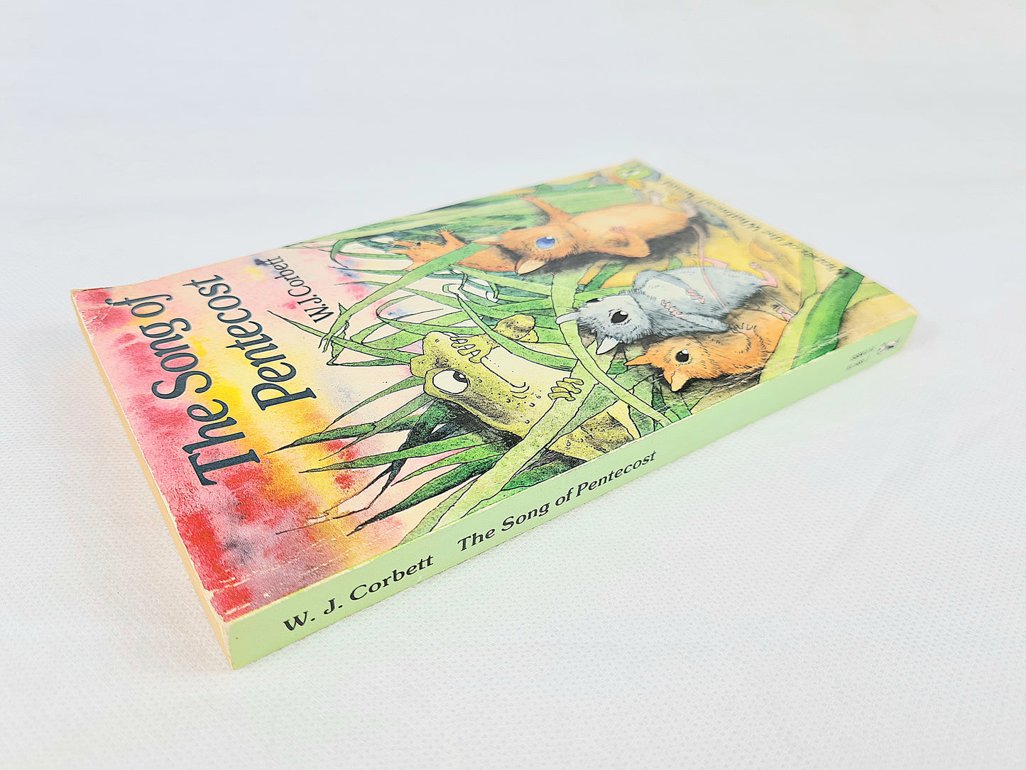 The Song Of Pentecost by W.J Corbett. Vintage childrens book