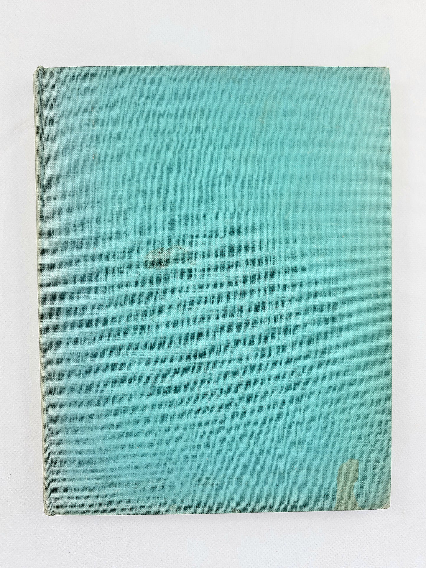 Meet Us In The Garden by Frances Pitt, Illustrated by Stanley Herbert. Vintage nature book