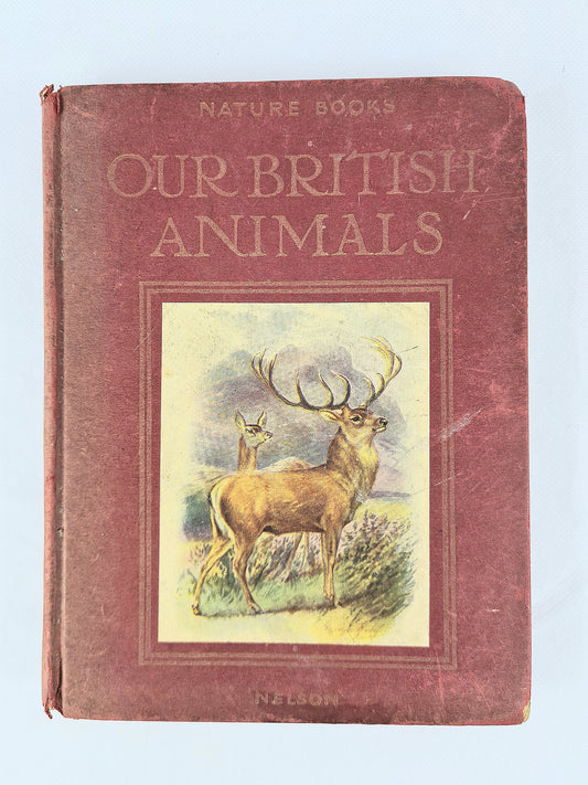 Antique nature book about the animals of Britain with a nice cover design 