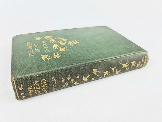 Decorative green antique poetry book