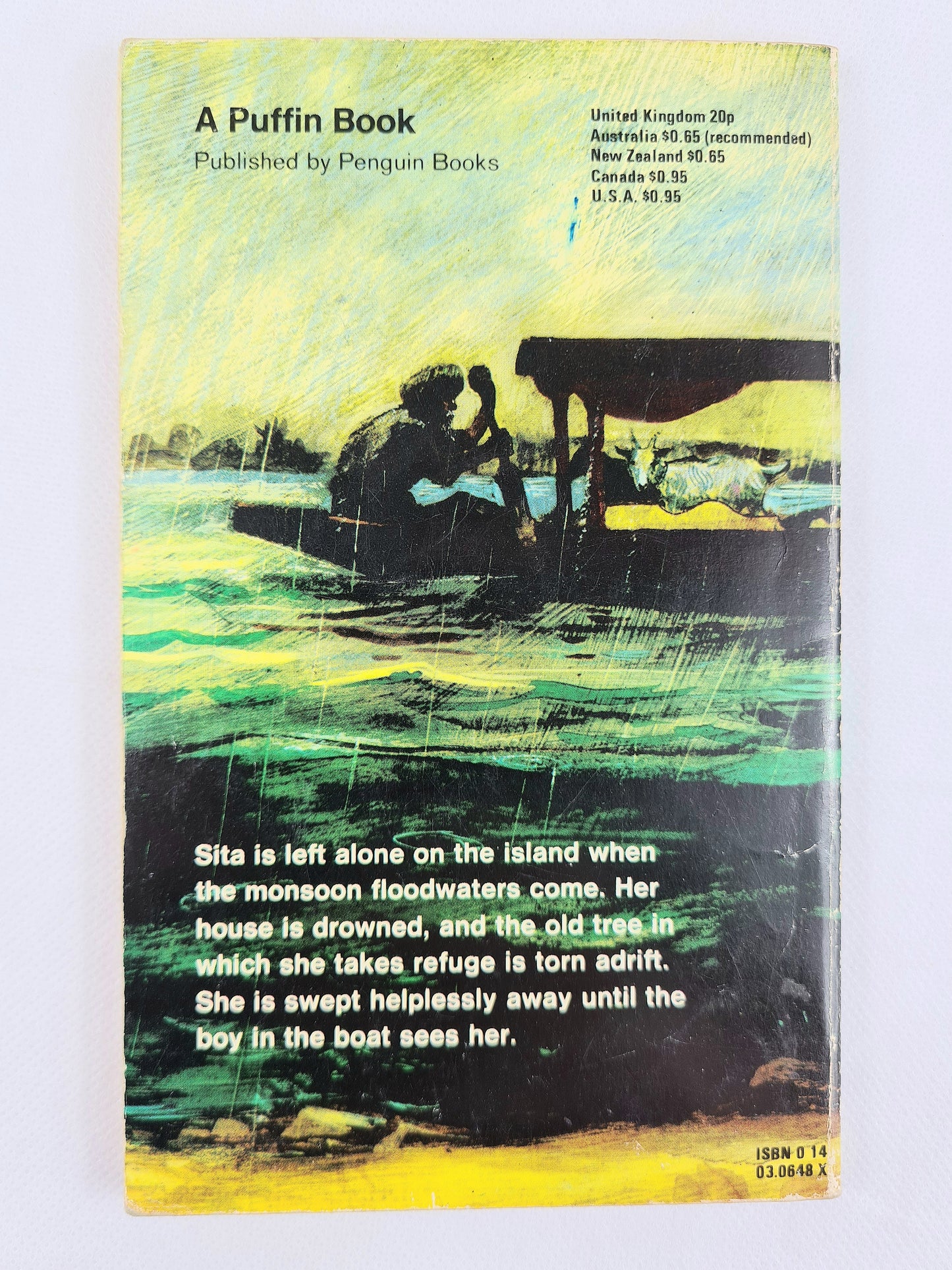Angry River by Ruskin Bond, Children's books, Puffin publications