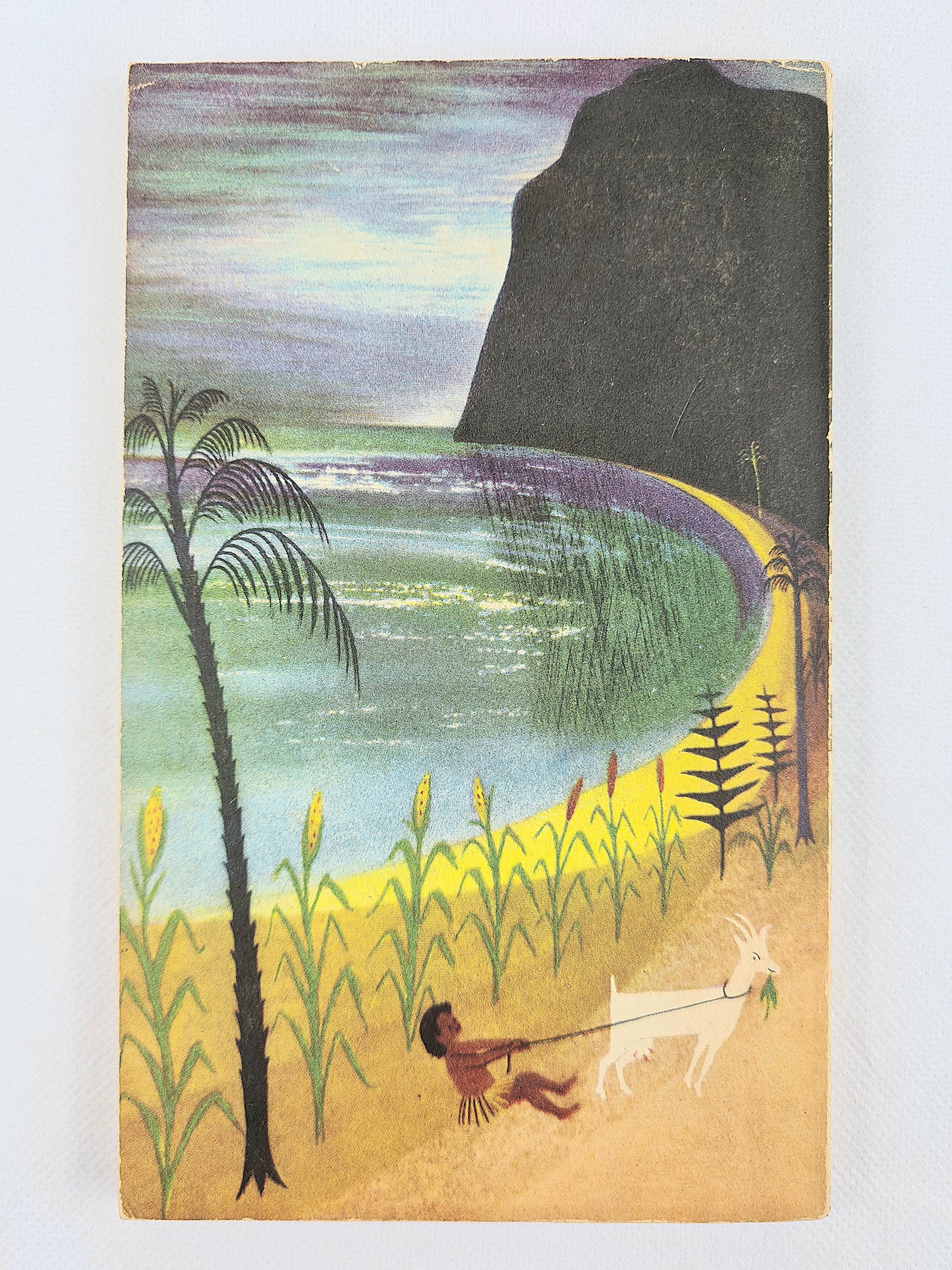 Landfall The Unknown by Evelyn Cheesman. First edition Puffin Book 1950