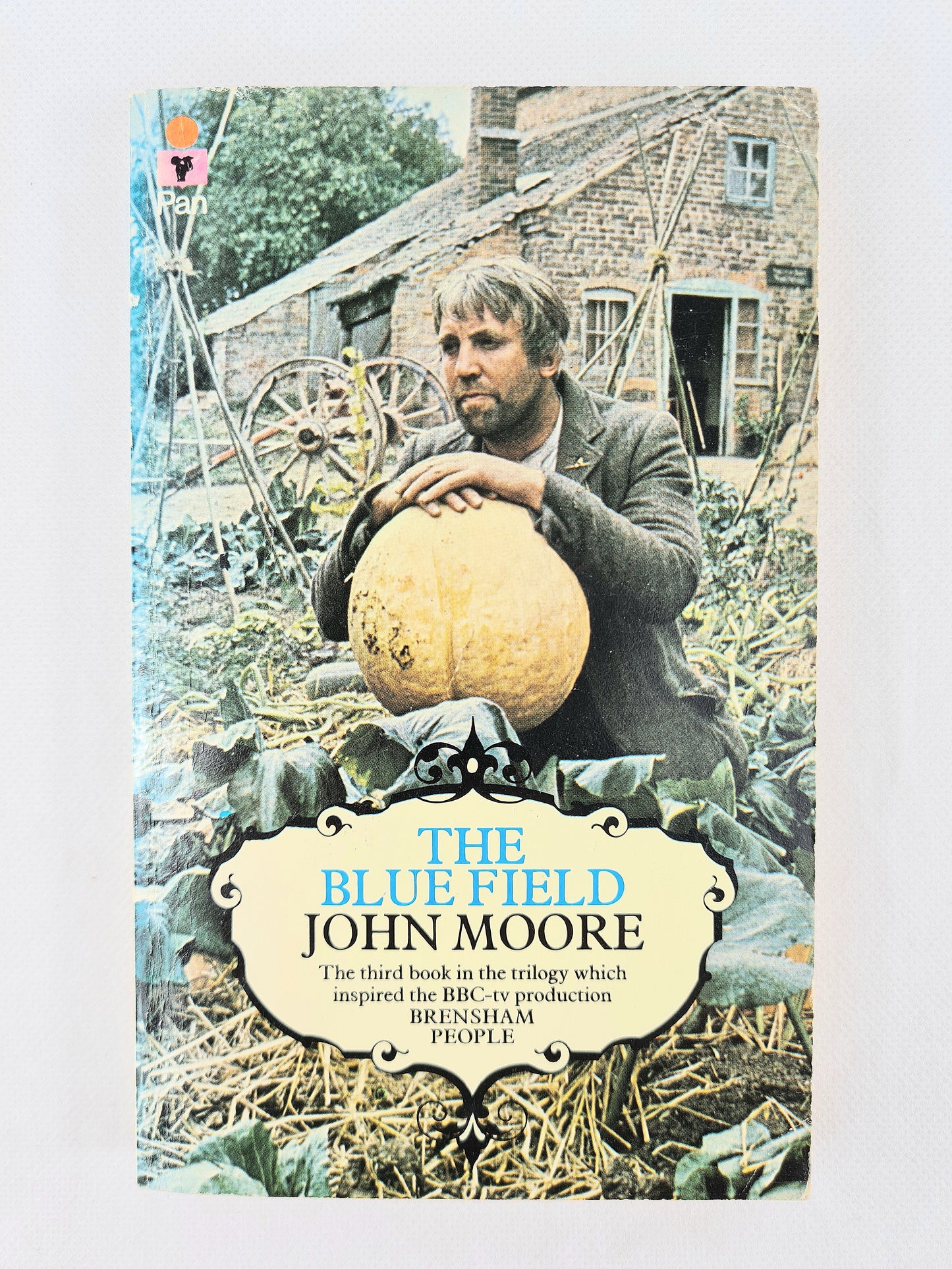 The Blue Field by John Moor. Vintage Pan book. Paperback