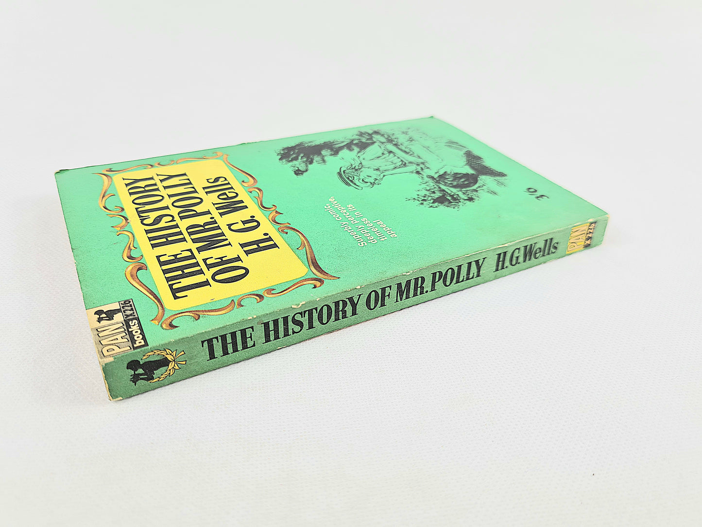 The History Of Mr Polly by H.G Wells. Vintage paperback book. Pan books