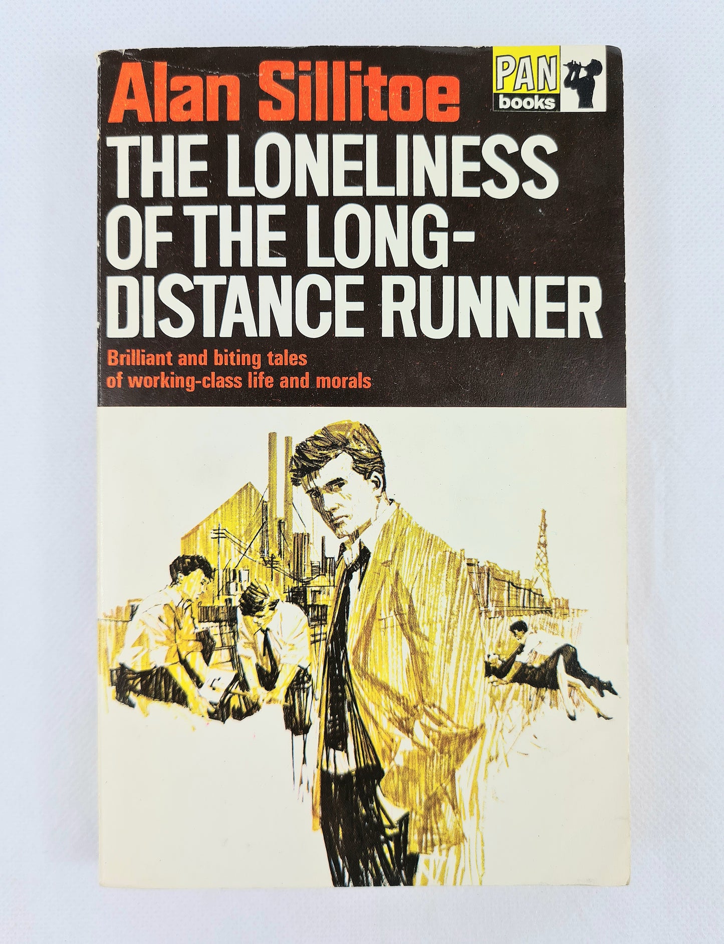 Vintage paperback book. Pan books