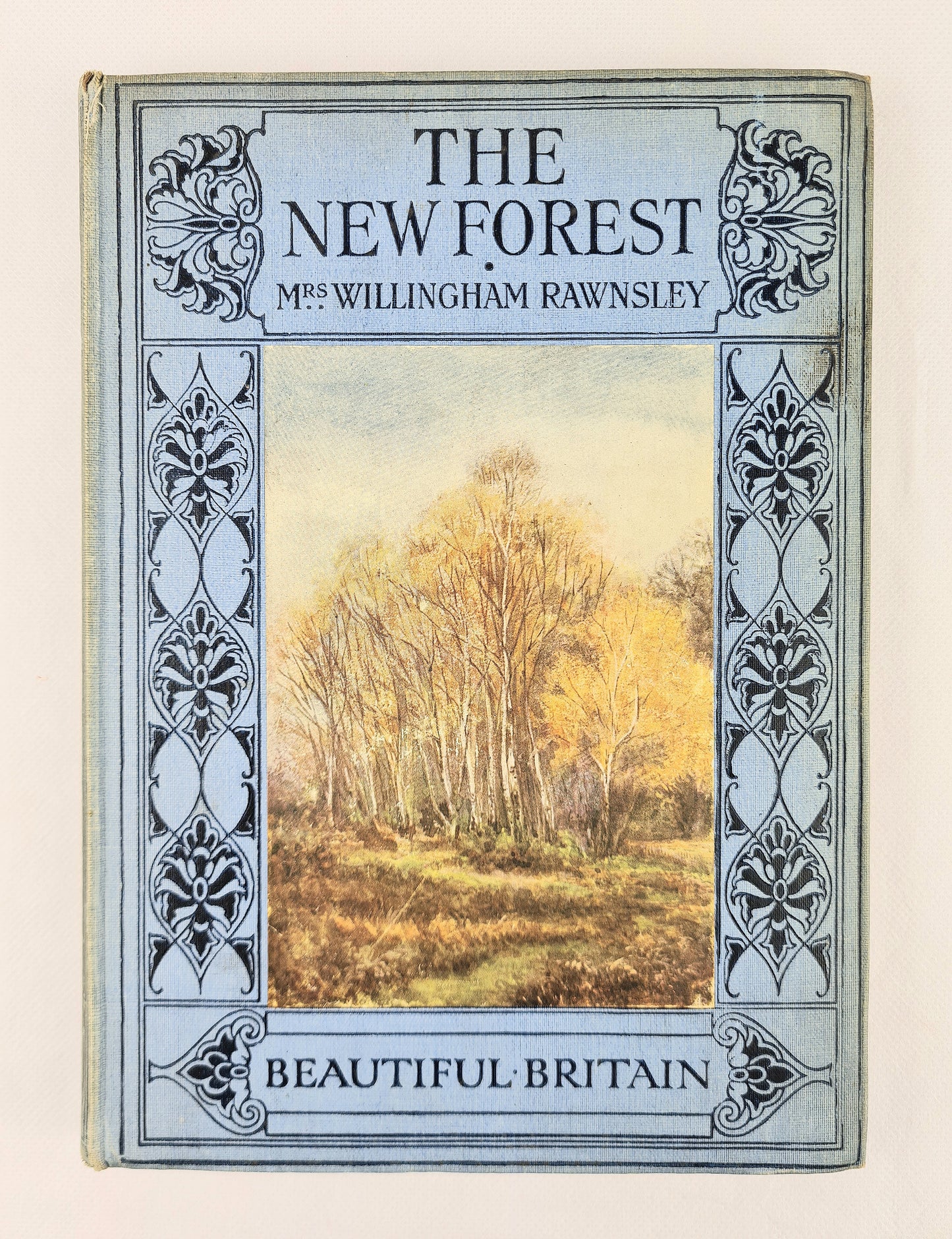 The new forest. Antique travel book