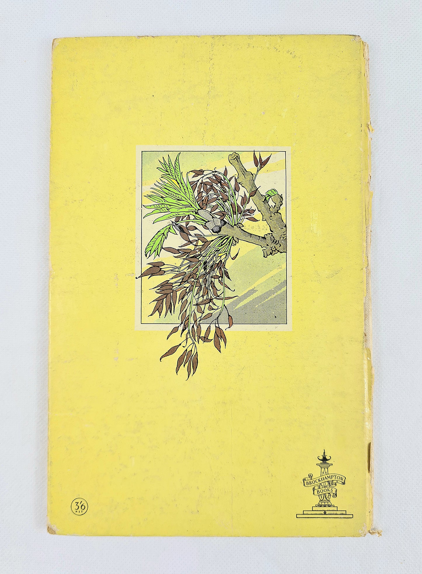 How To Recognise Trees Of The Countryside - The young naturalist series. Vintage guide book