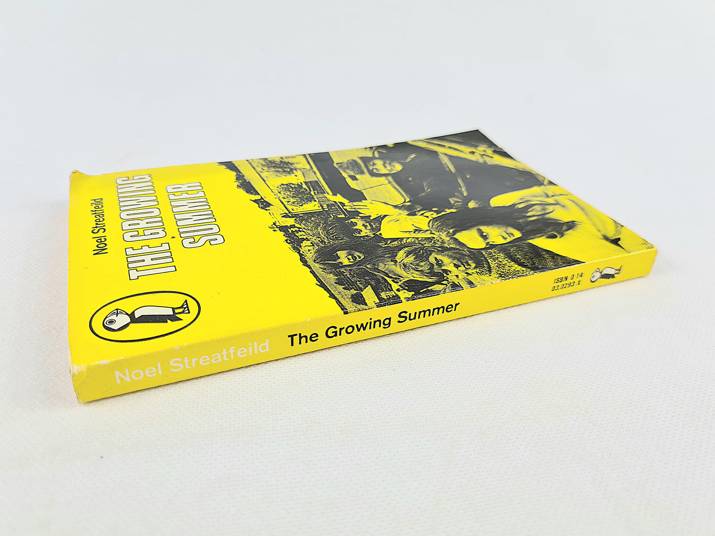 The Growing Summer by Noel Streatfeild. Children's book. Puffin publications