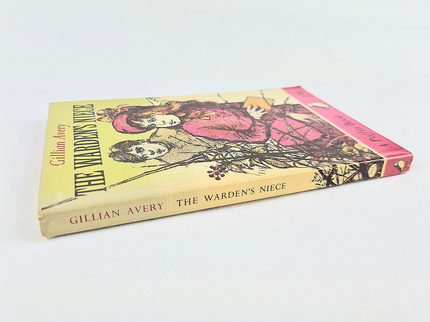 The Warden's Niece by Gillian Avery. Vintage Children's book, Puffin Books