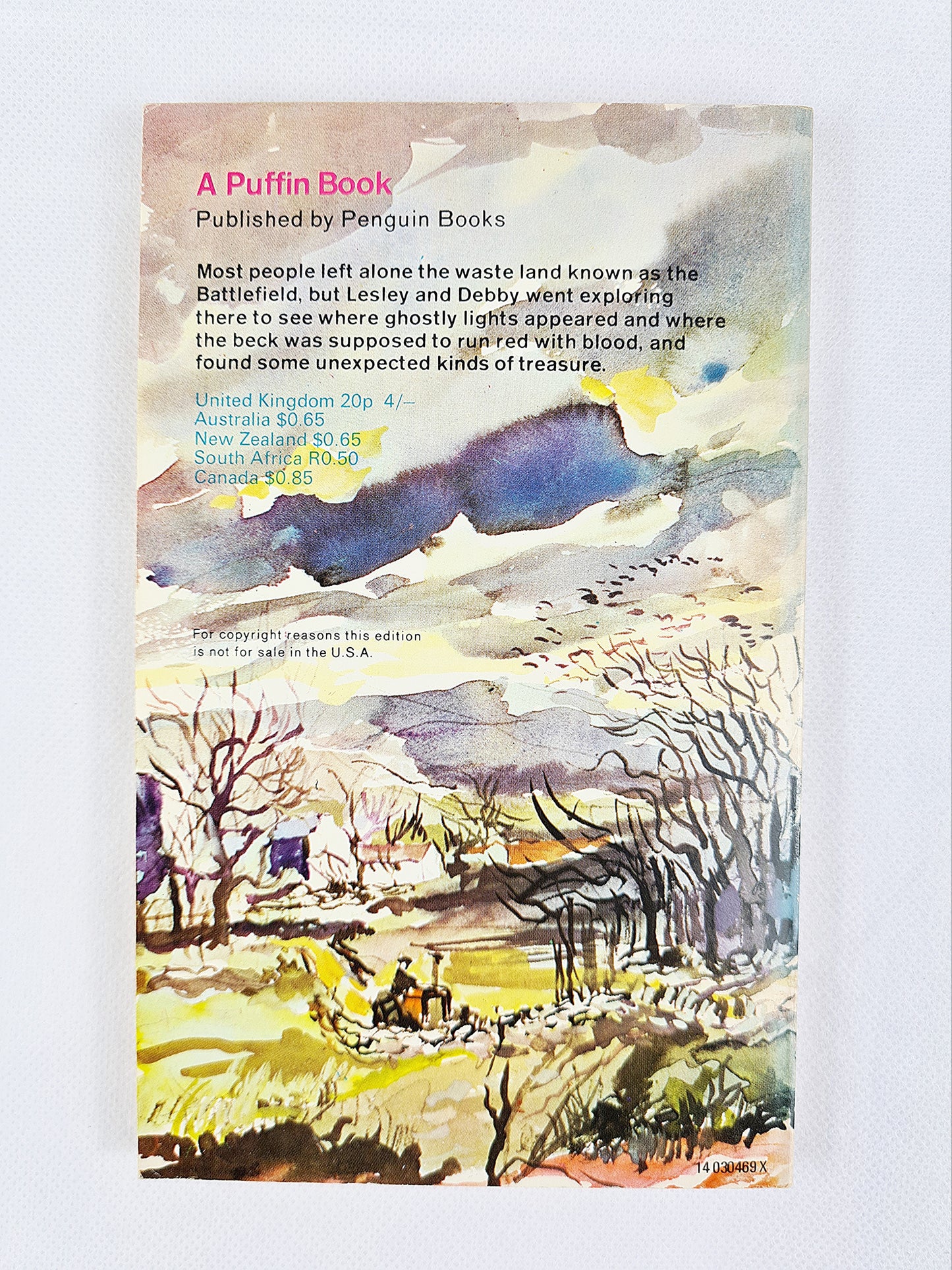 The Battlefield by William Mayne, Vintage Puffin book 1971