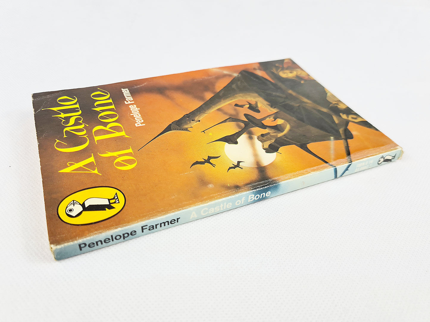 A castle of bone, old childrens book