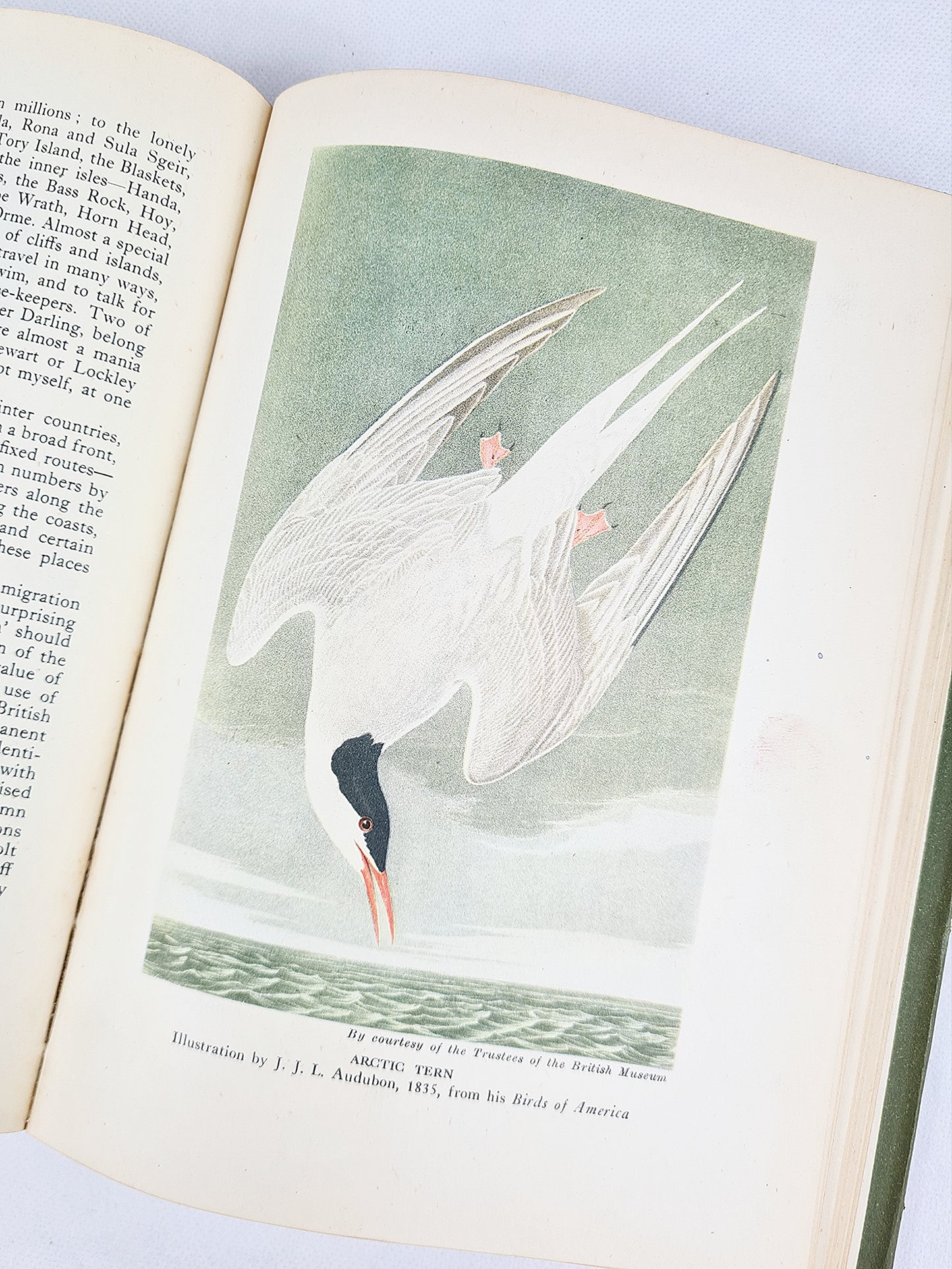 Nature In Britain, introduced by Geoffrey Grigson. Vintage nature book