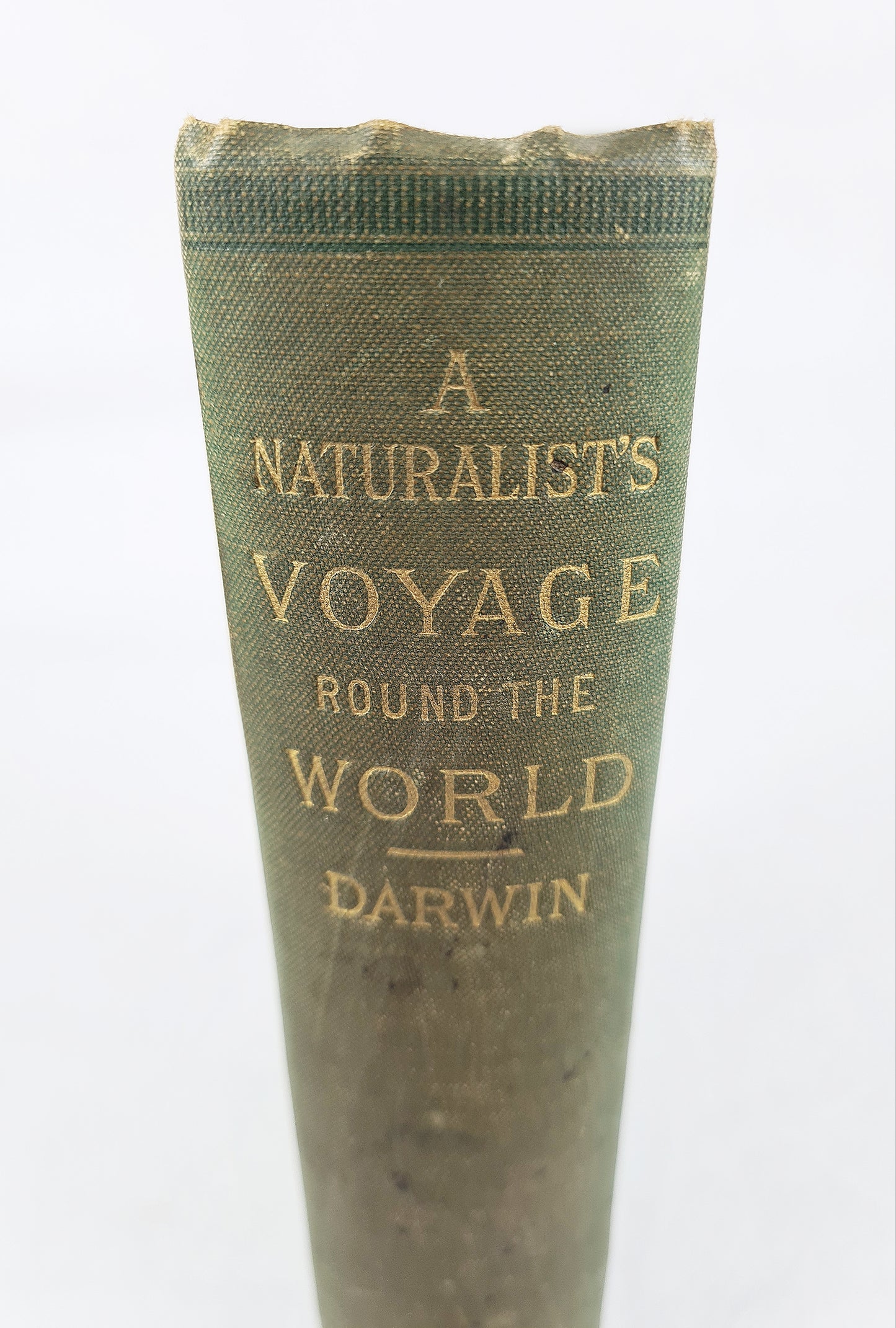 A Naturalists Voyage Around The World - Charles Darwin. Antique 1909 Edition