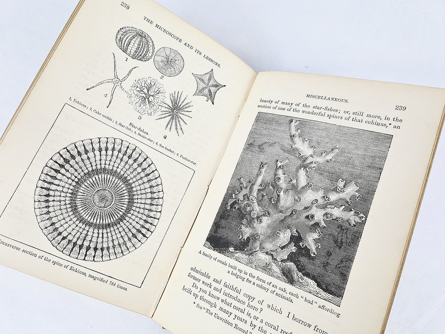 The Microscope And Its Lessons, a Story Of The Invisible World by James Crowther. 19th Century Science Book