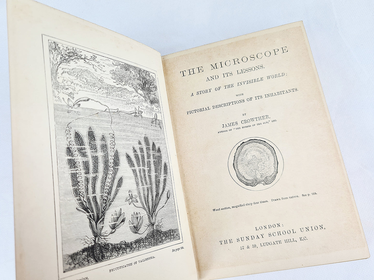 The Microscope And Its Lessons, a Story Of The Invisible World by James Crowther. 19th Century Science Book
