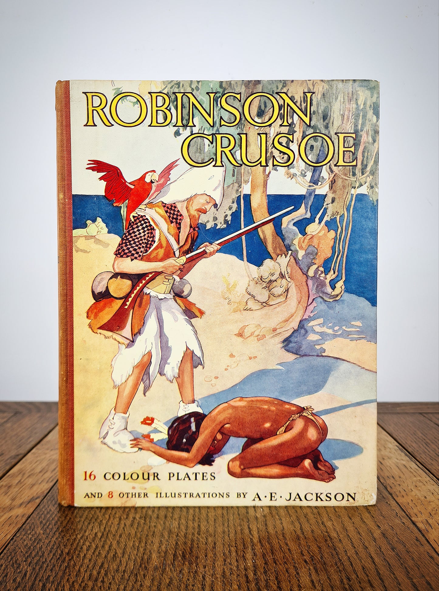 Vintage Robinsoe Crusoe book, illustrated