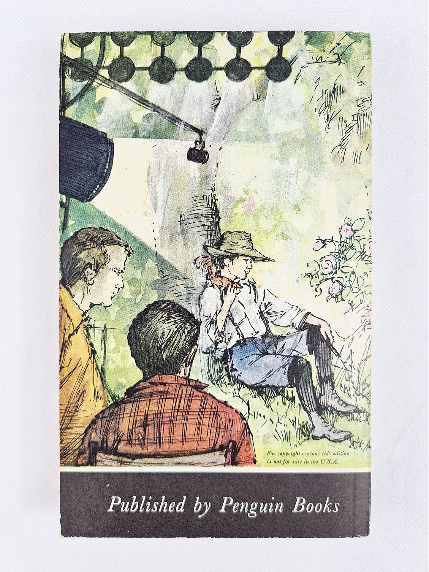 The Painted Garden by Noel Streatfeild, Vintage Puffin Book 1961