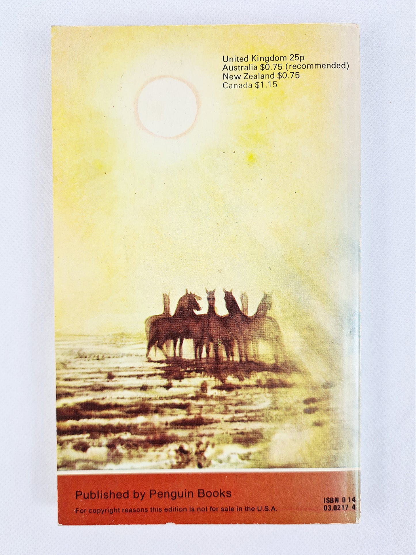 The Brumby by Mary Elwyn Patchett - Puffin Books 1973