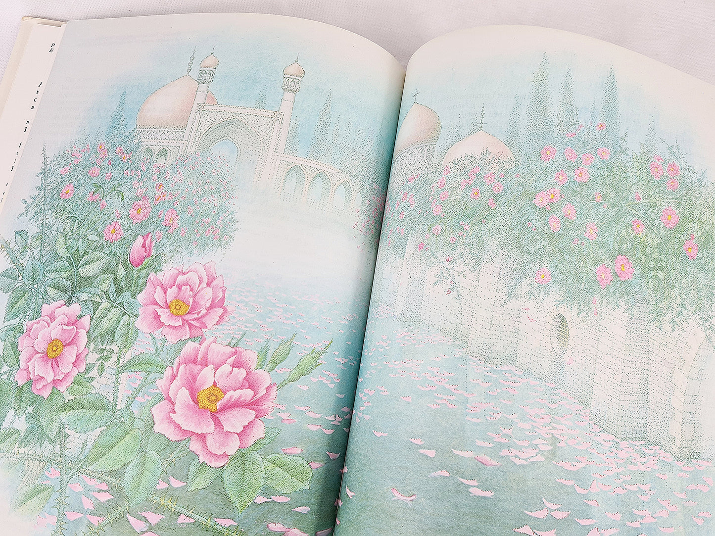 The Rose, Myth, Folklore And Legend, Ann Mayhew