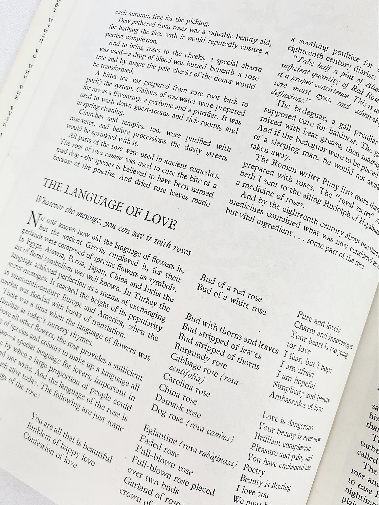 The Rose, Myth, Folklore And Legend, Ann Mayhew