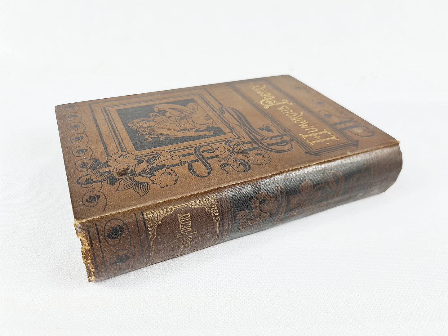 The Book Of Humorous Poetry