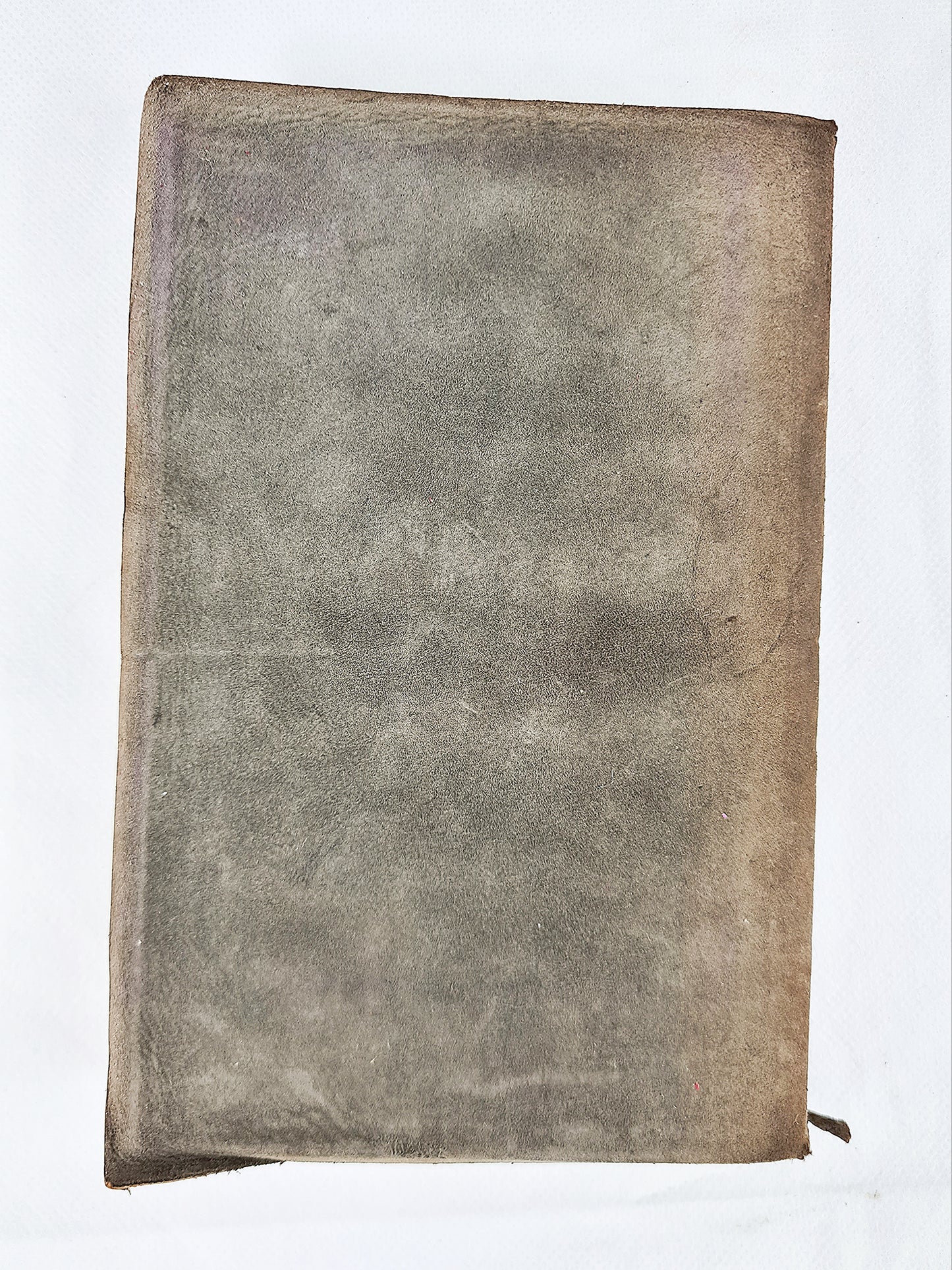 The Blue Bird, Maurice Maeterlinck