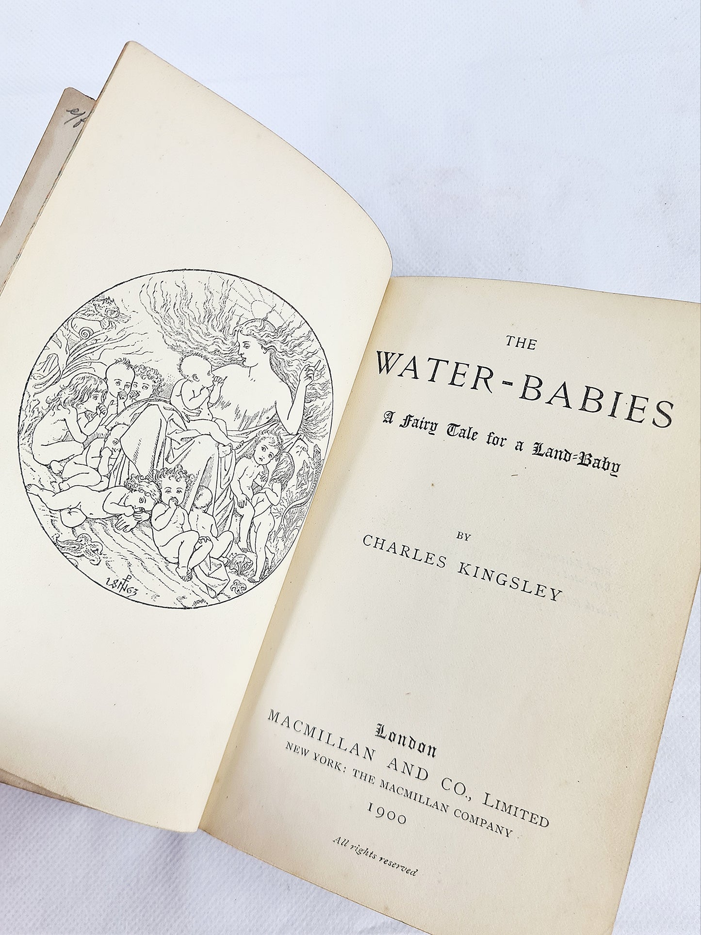 The Water Babies, Charles Kingsley