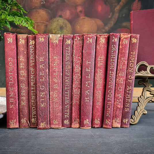 Shop Antique And Vintage Books Online