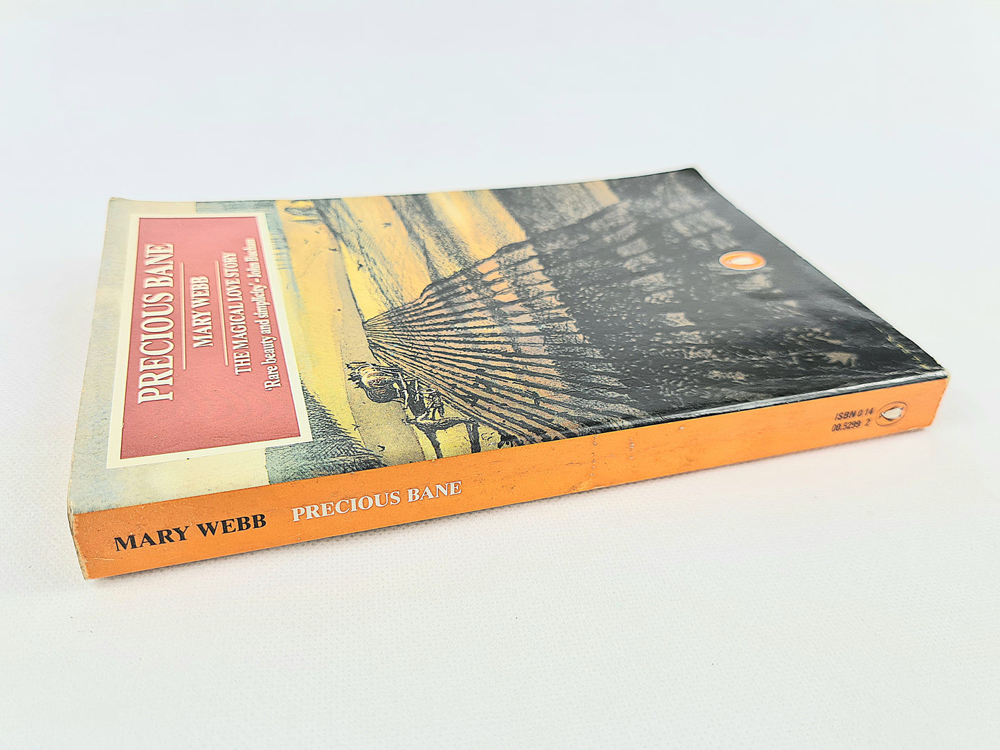 Precious Bane by Mary Webb. Penguin Books
