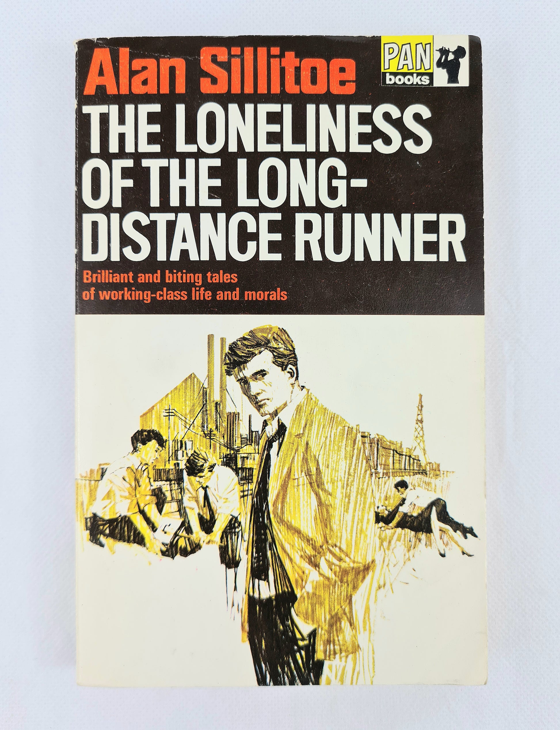 Vintage paperback book. Pan books 