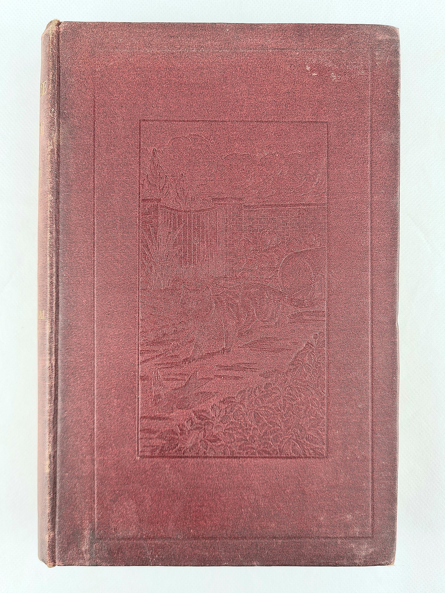 The Balance of Nature by George Abbey. A practical manuel of animals, foes, and friends. Antique nature book.
