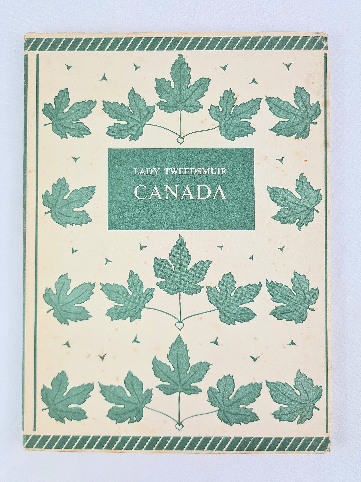 Old history book with a nice cover design