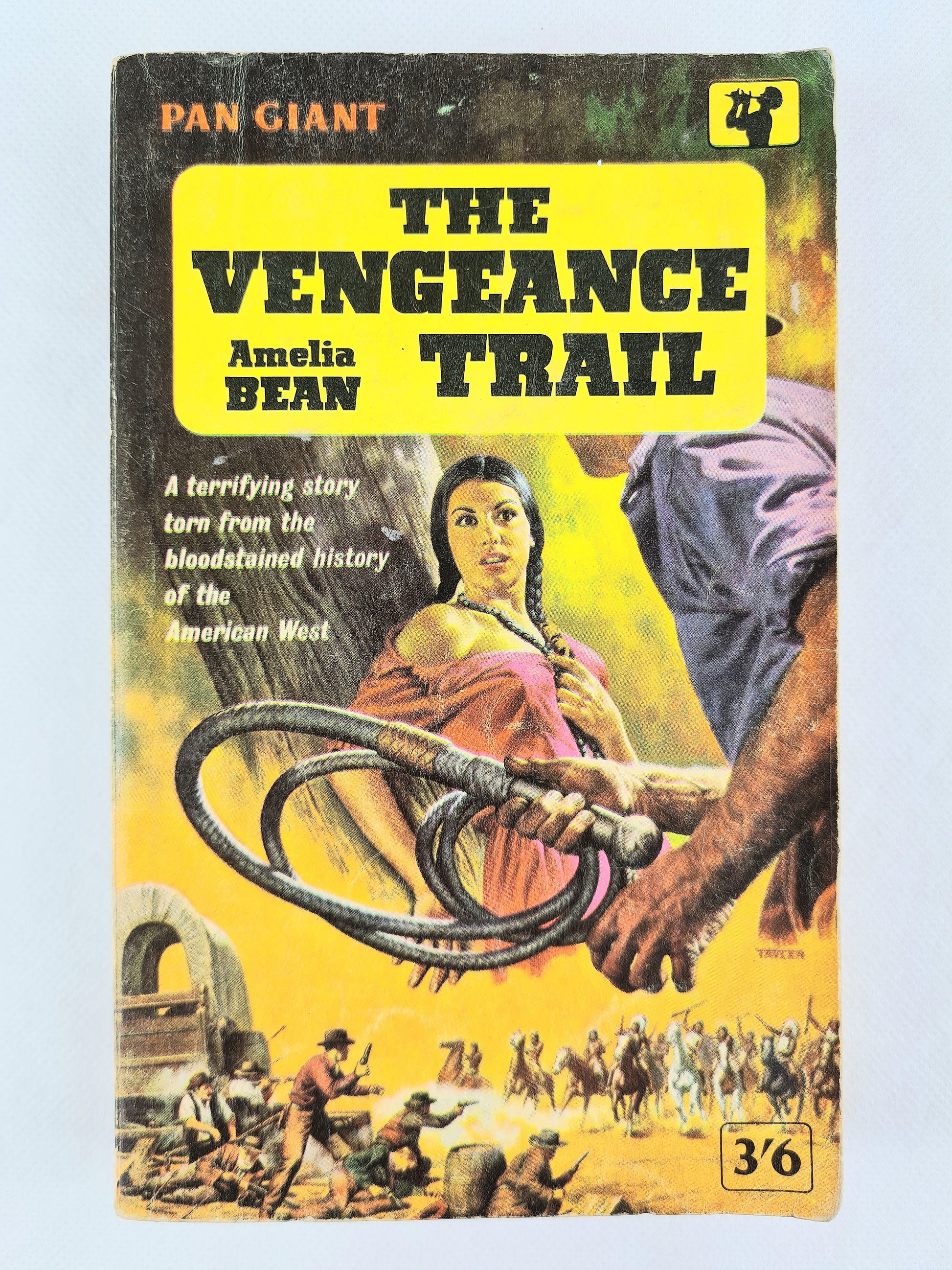Vintage pan book with illustrated cover design 