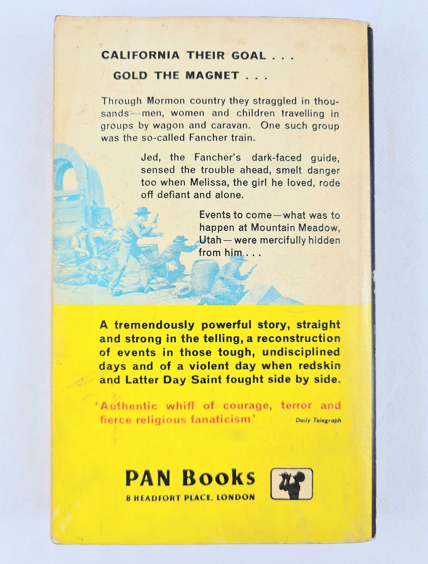 The Vengeance Trail by Amelia Bean. Vintage Pan paperback book X91
