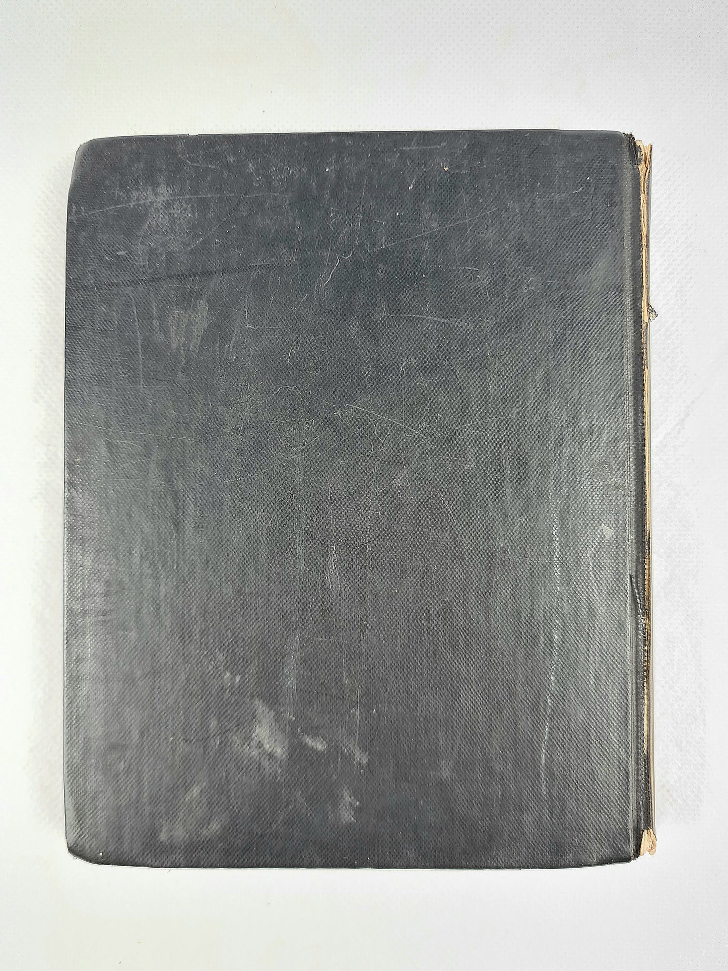 Stories From The Faerie Queen by Jeanie Lang. Illustrated antique childrens book.