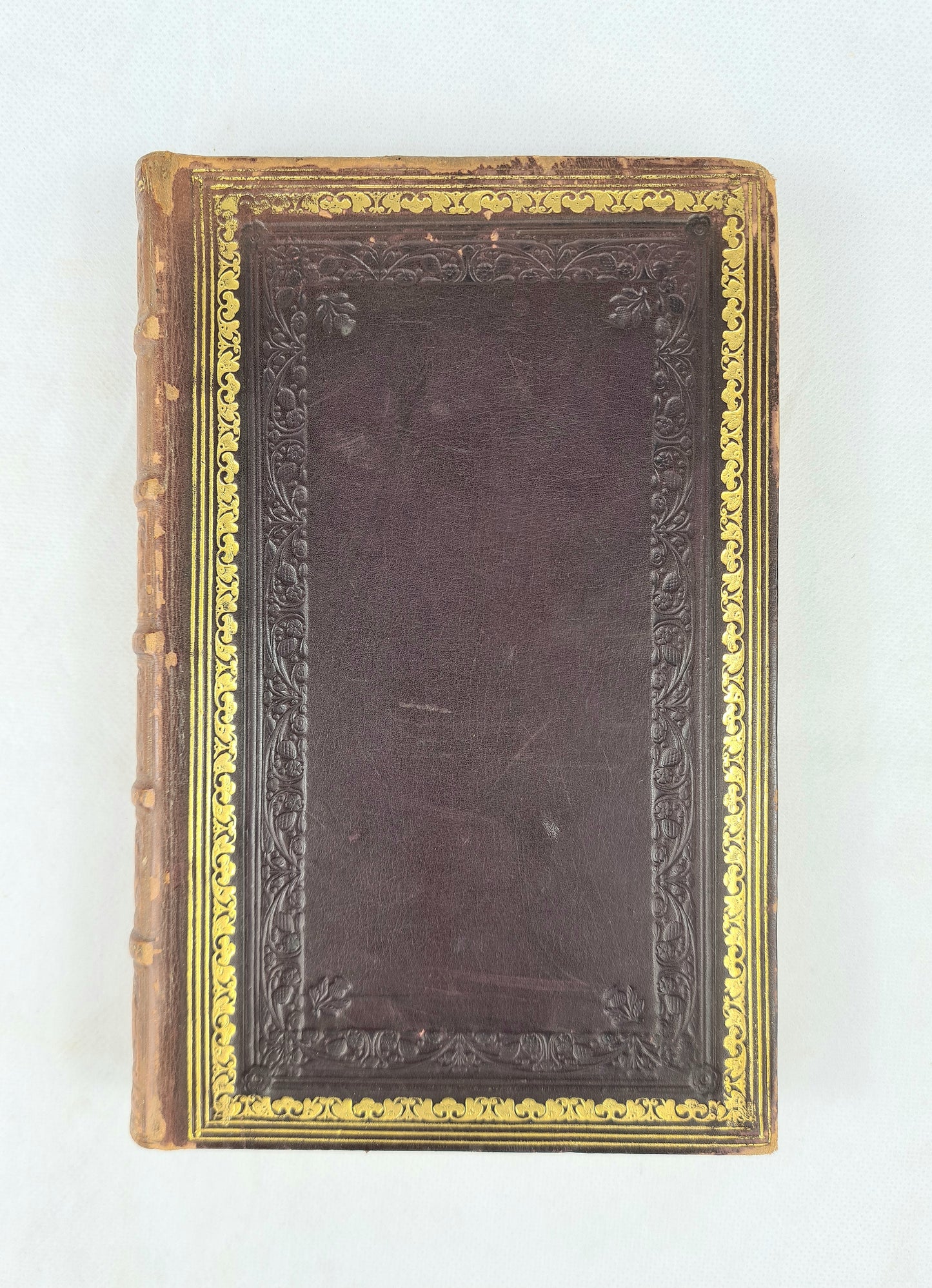 Foot Prints of The Creator, or The Asterolepsis Of Stromness by Hugh Miller. Early edition 1851. Antique book.