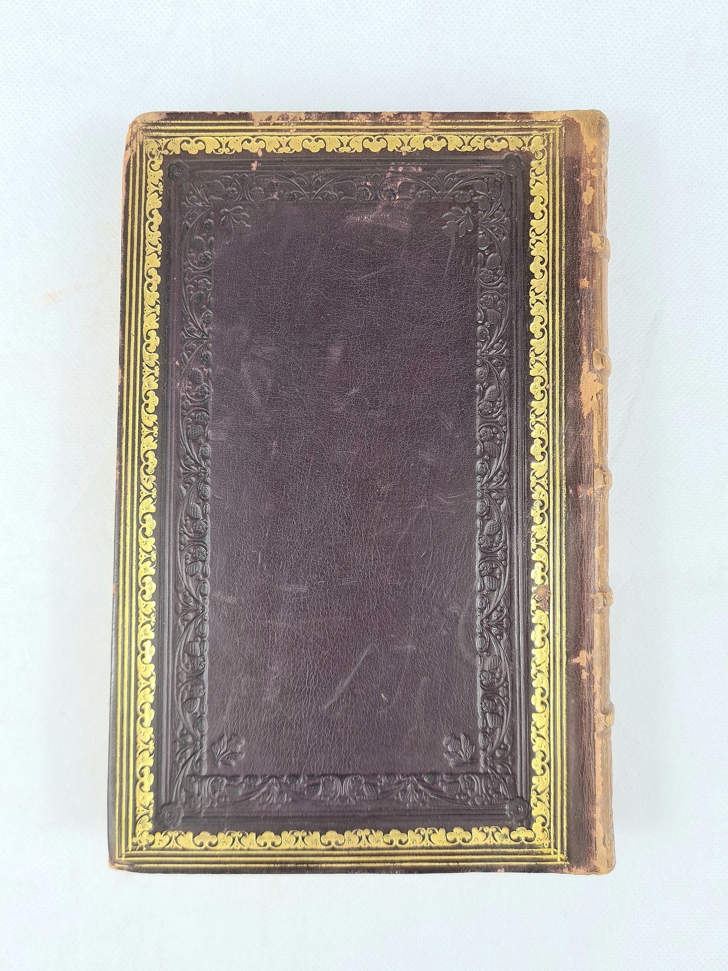 Foot Prints of The Creator, or The Asterolepsis Of Stromness by Hugh Miller. Early edition 1851. Antique book.