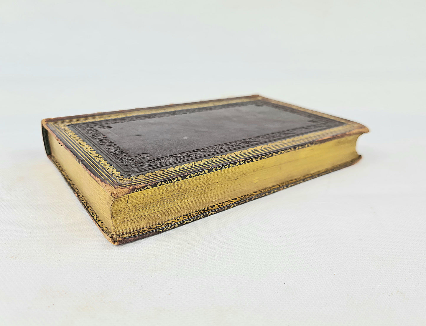 Foot Prints of The Creator, or The Asterolepsis Of Stromness by Hugh Miller. Early edition 1851. Antique book.