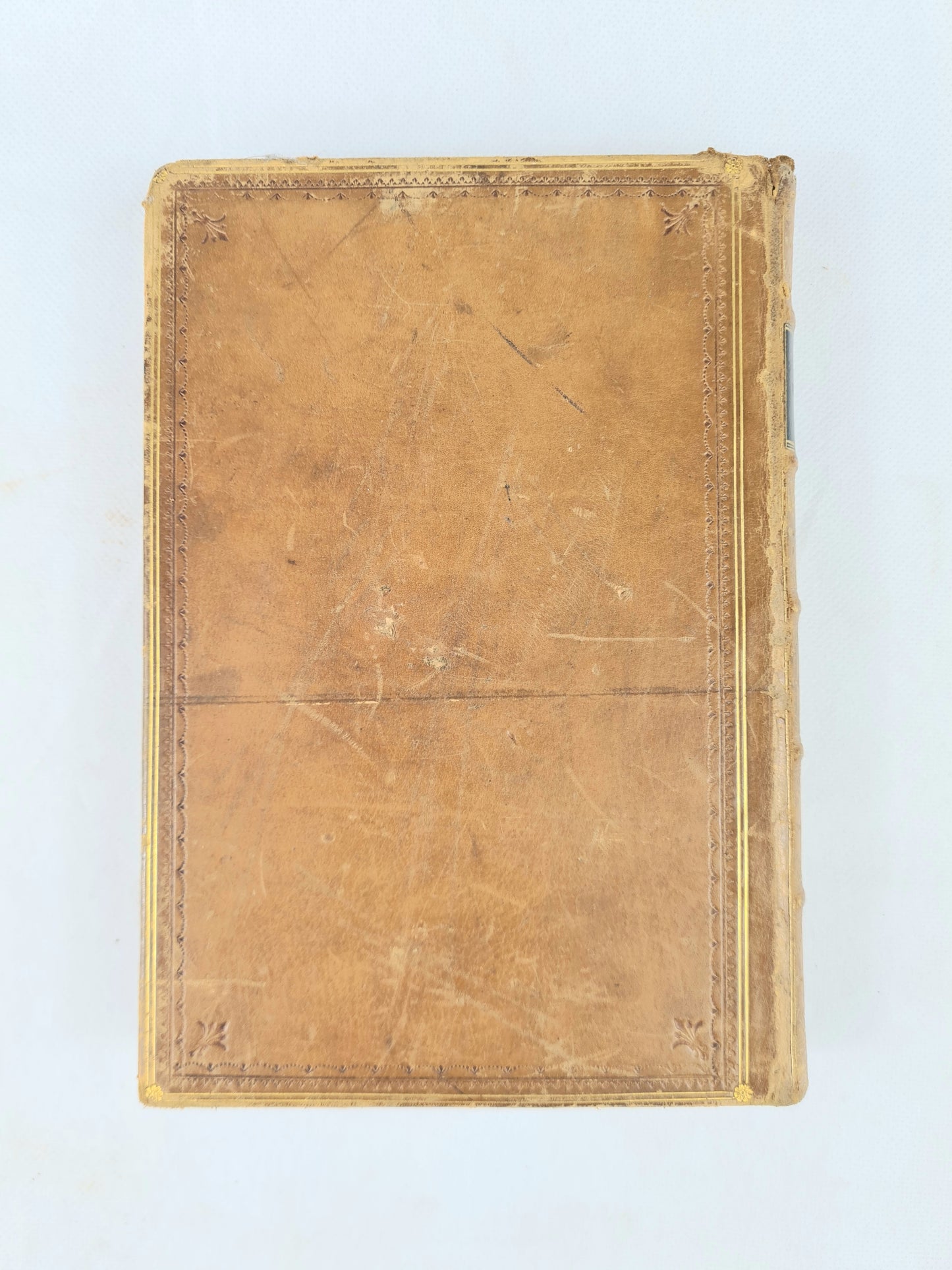 The Greek Heroes by Charles Kingsley. Early Illustrated leather bound antique book 1881