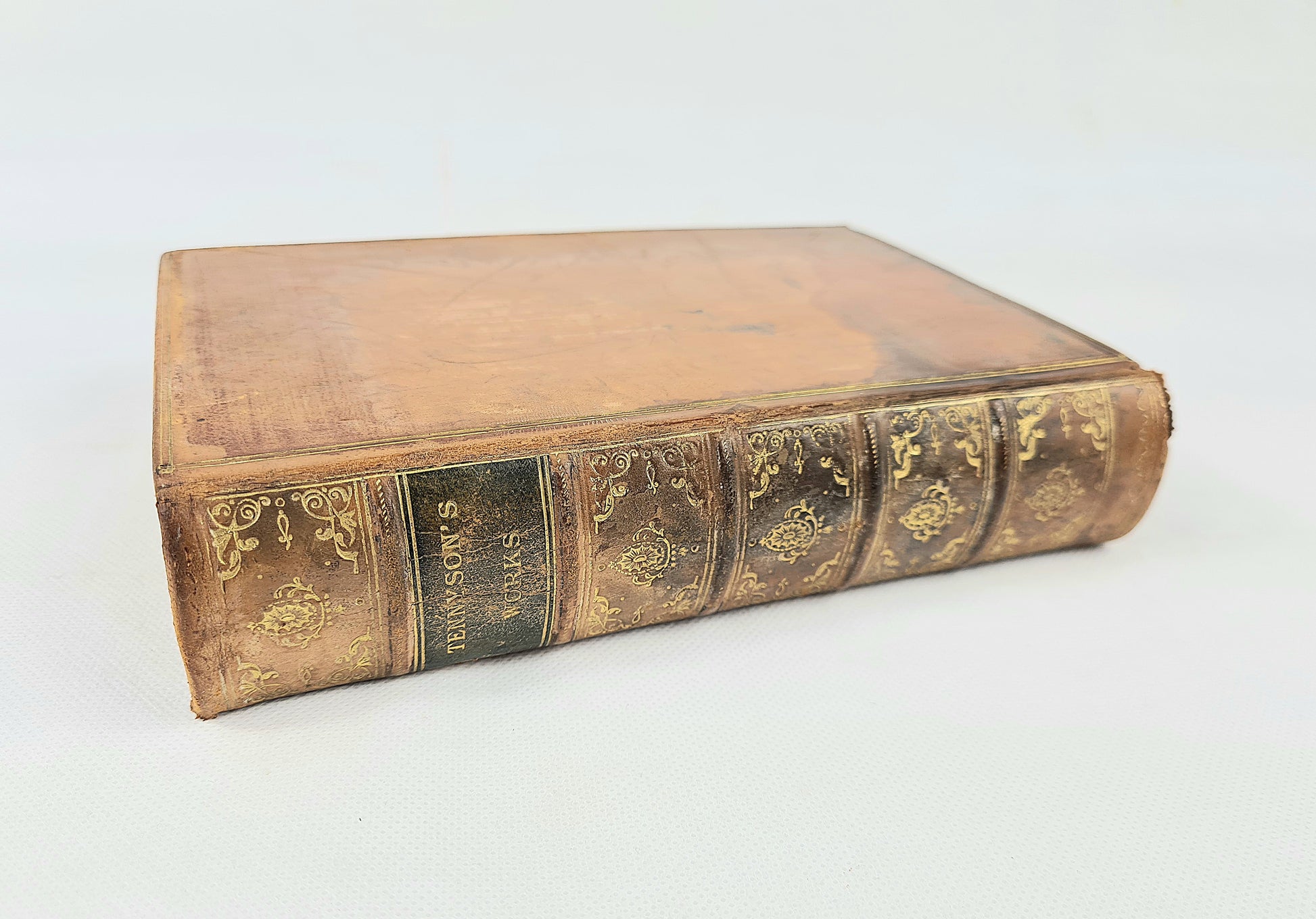 Vintage leather-bound book with gold embossed design on a white background