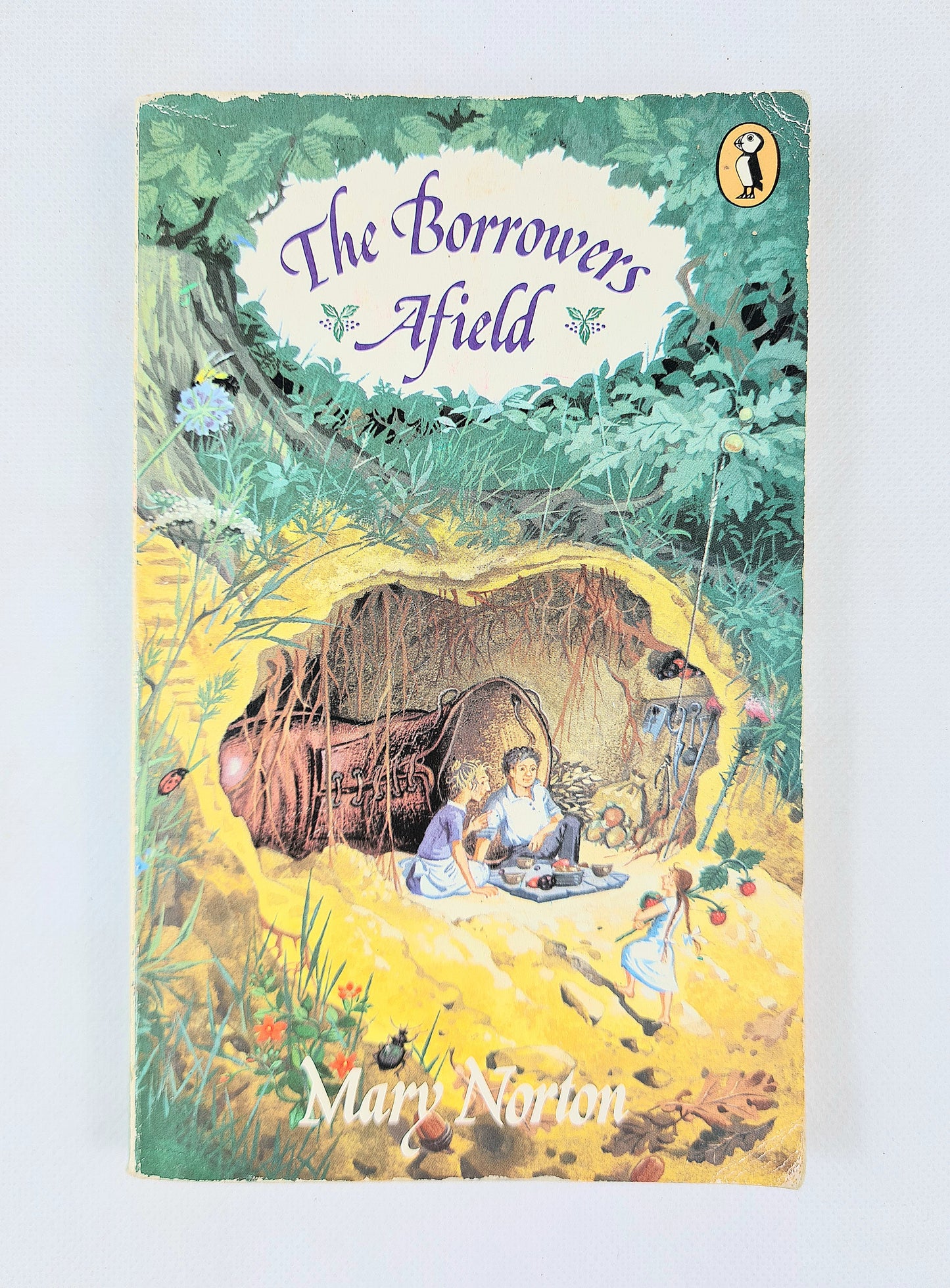 Book cover of 'The Borrowers Afield' by Mary Norton with a illustration of a family and a burrow.