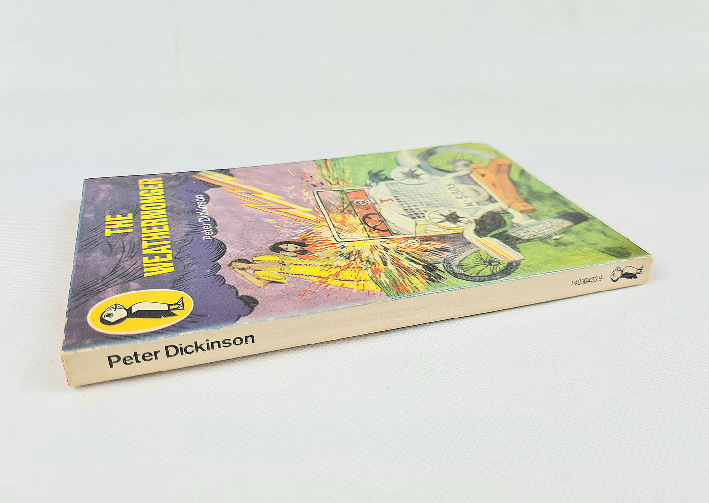 The Weathermonger by Peter Dickinson. Vintage childrens book. Puffin publications