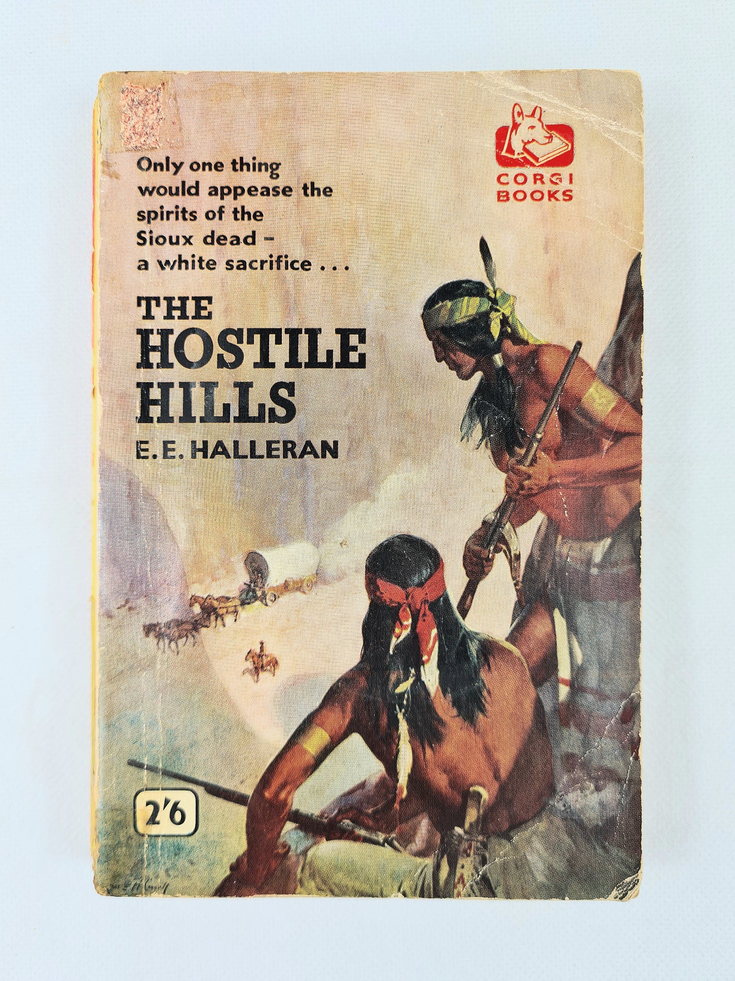 Book cover of 'The Hostile Hills' by E.E. Halleran featuring Native American imagery.