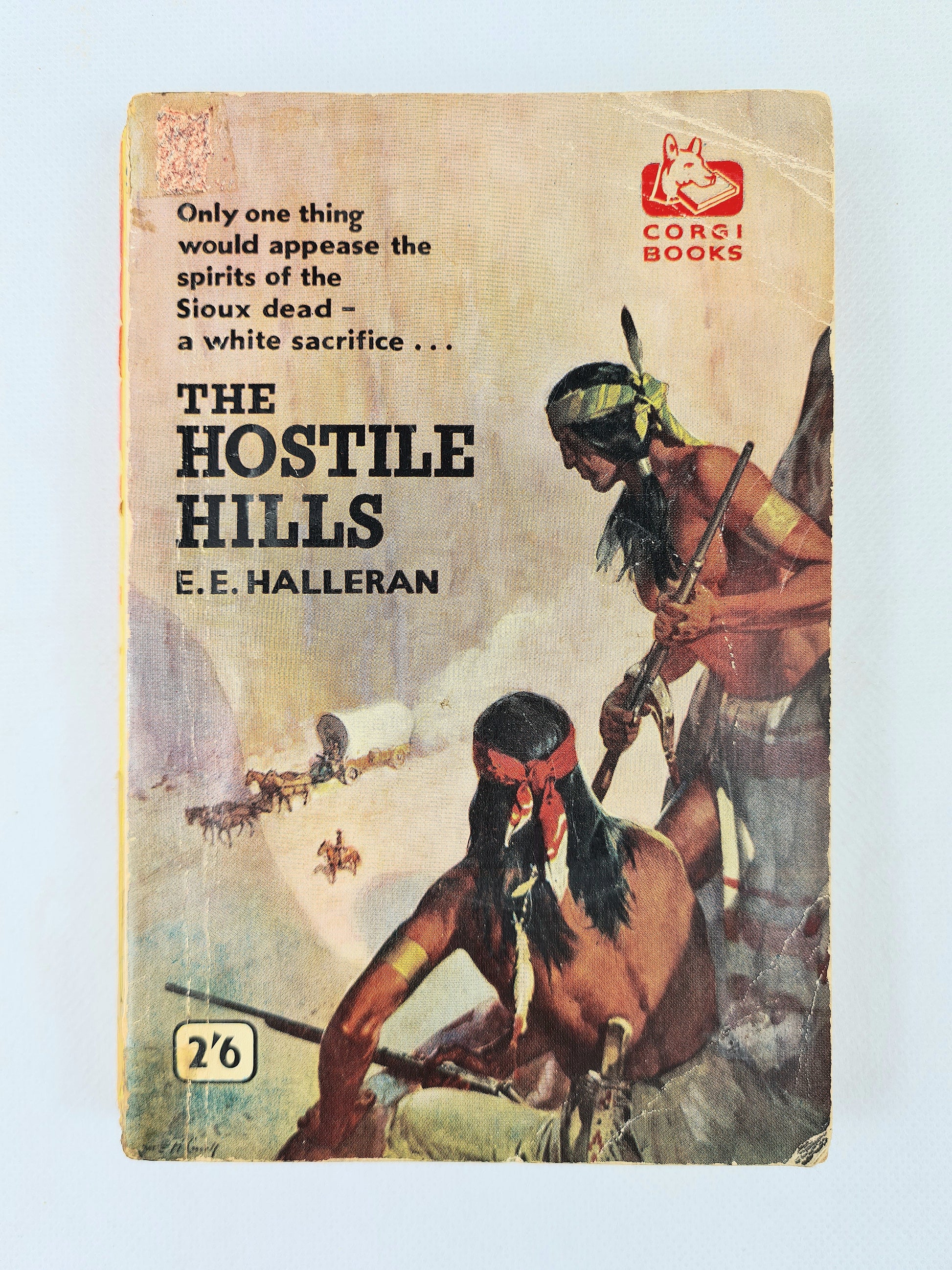 Book cover of 'The Hostile Hills' by E.E. Halleran featuring Native American imagery.