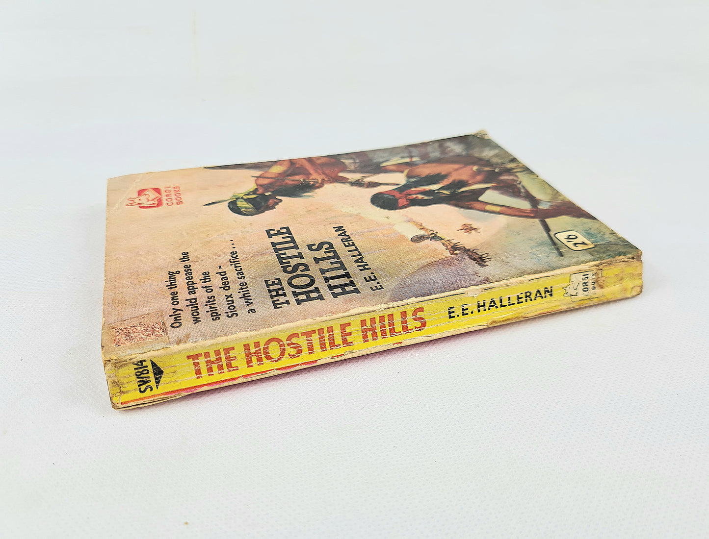 The Hostile Hills by E.E Halleran. Vintage western book.