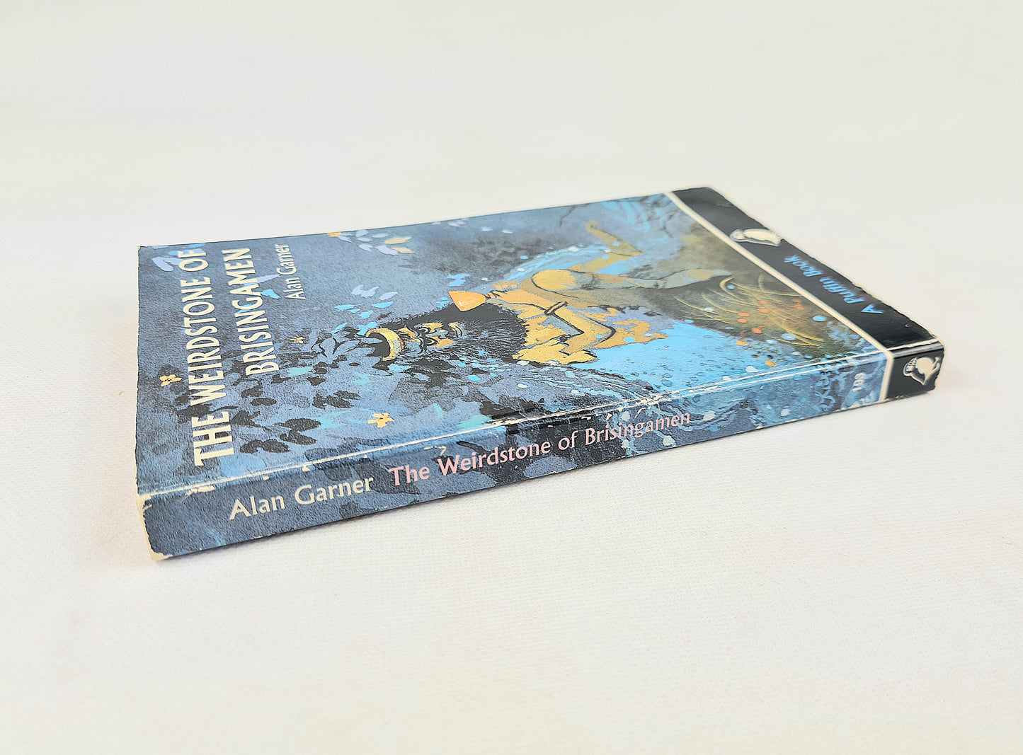 The Weirstone of Brisingamen by Alan Garner. Vintage children's book