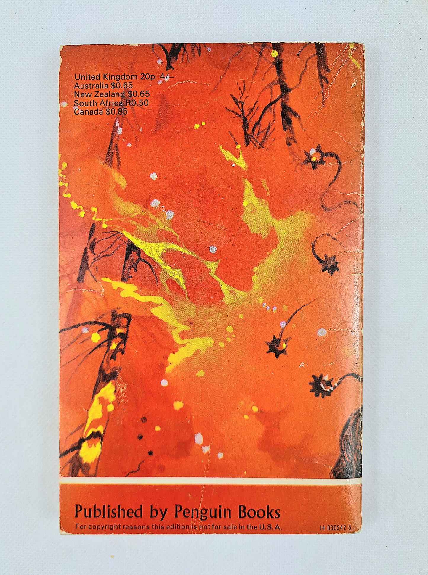 The Moon of Gomrath by Alan Garner. Vintage childrens book