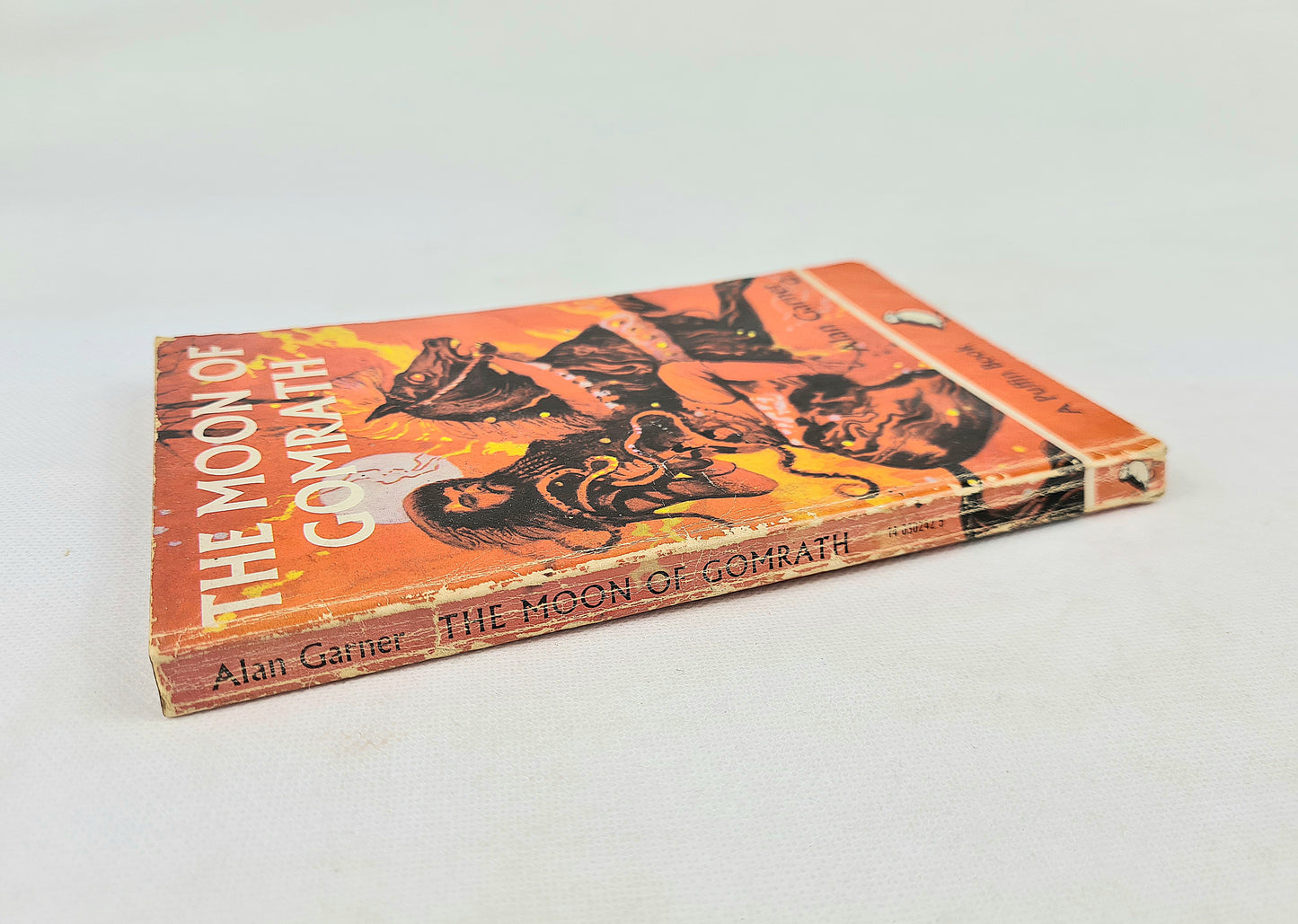 The Moon of Gomrath by Alan Garner. Vintage childrens book